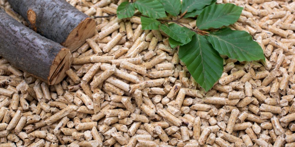 Chaudières biomasse : une alternative écologique aux combustibles fossiles